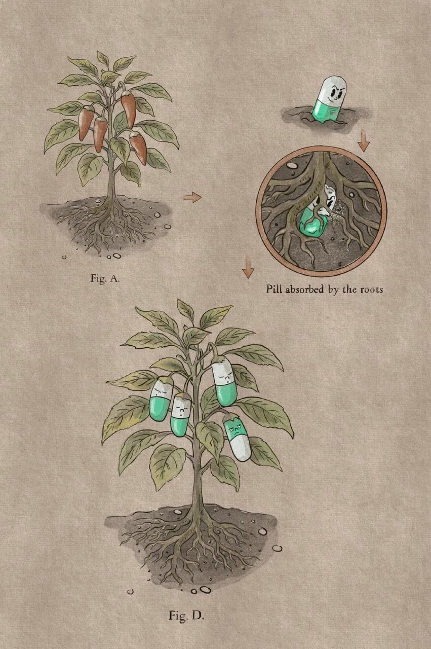 Field Note: Verdant Expanse